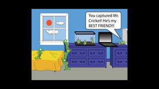 Karate frog fully illustrated