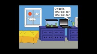 Karate frog fully illustrated