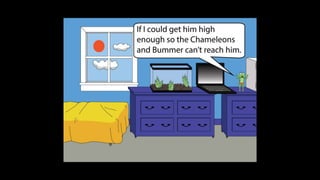 Karate frog fully illustrated