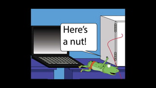 Karate frog fully illustrated