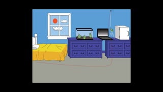 Karate frog fully illustrated