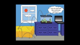 Karate frog fully illustrated