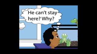 Karate frog fully illustrated