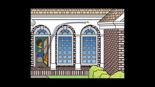 Karate frog fully illustrated