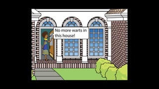 Karate frog fully illustrated