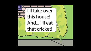 Karate frog fully illustrated