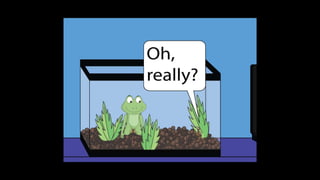 Karate frog fully illustrated