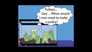 Karate frog fully illustrated