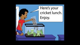 Karate frog fully illustrated