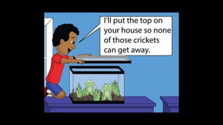 Karate frog fully illustrated