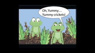 Karate frog fully illustrated