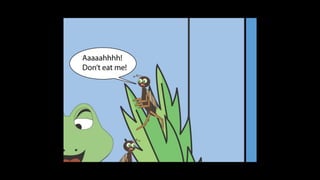 Karate frog fully illustrated