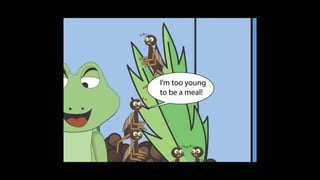 Karate frog fully illustrated