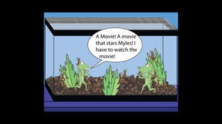 Karate frog fully illustrated