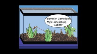 Karate frog fully illustrated