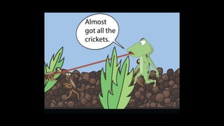 Karate frog fully illustrated