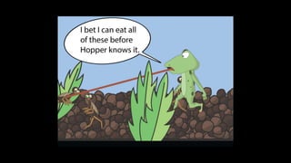 Karate frog fully illustrated