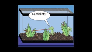 Karate frog fully illustrated