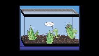 Karate frog fully illustrated