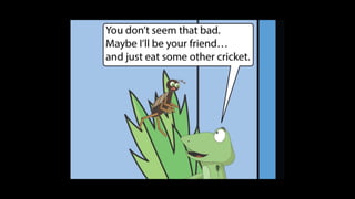 Karate frog fully illustrated