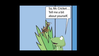 Karate frog fully illustrated