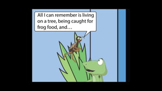 Karate frog fully illustrated