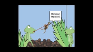 Karate frog fully illustrated