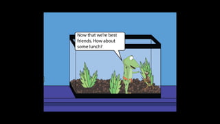 Karate frog fully illustrated