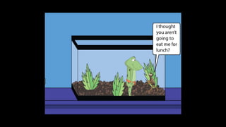 Karate frog fully illustrated