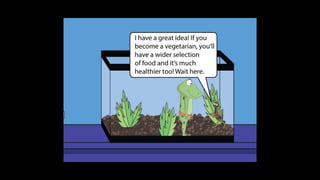 Karate frog fully illustrated