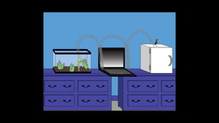 Karate frog fully illustrated