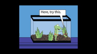 Karate frog fully illustrated