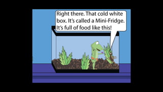 Karate frog fully illustrated