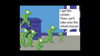 Karate frog fully illustrated