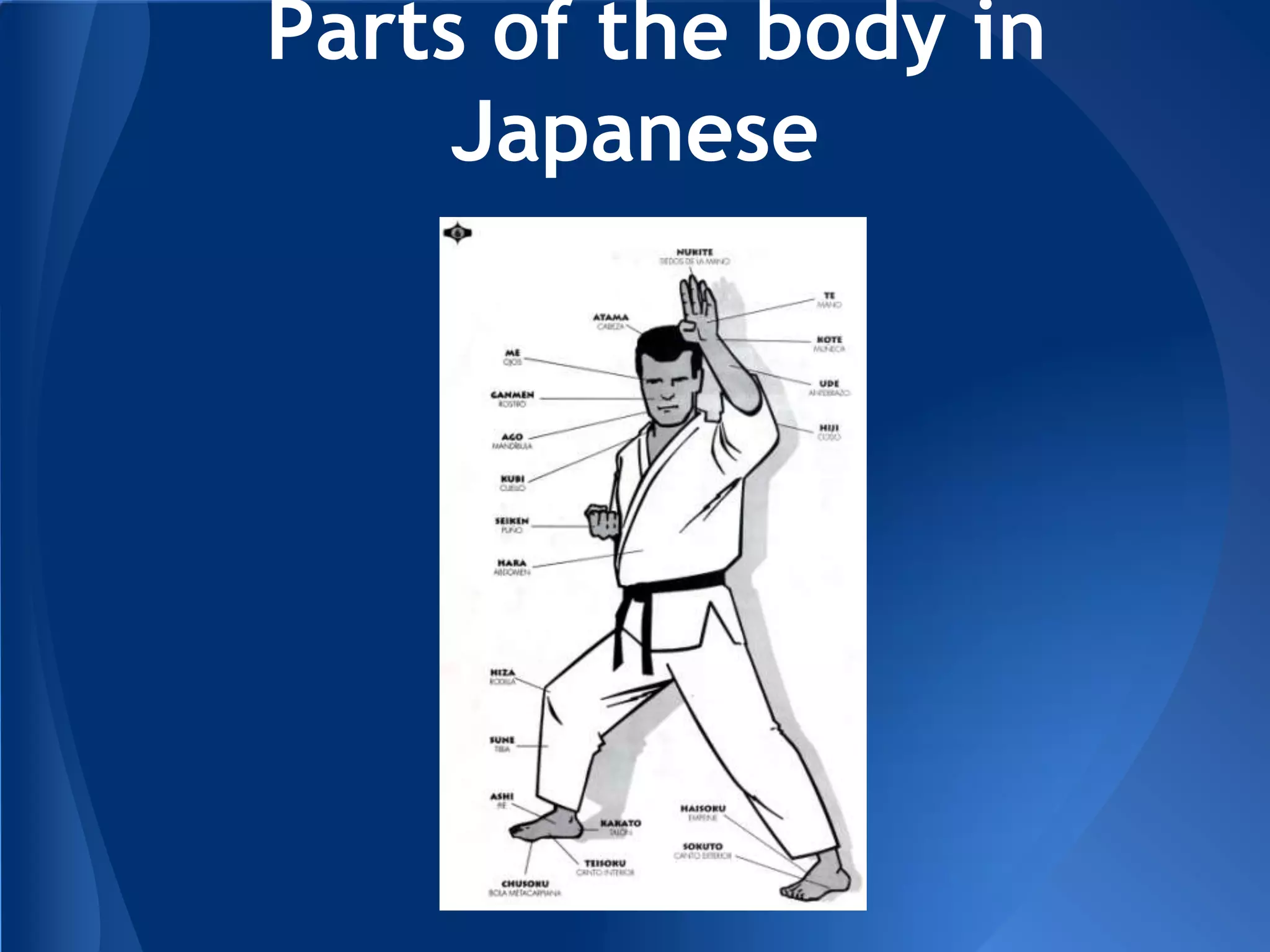 Parts of the body in
Japanese