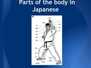 Parts of the body in
Japanese