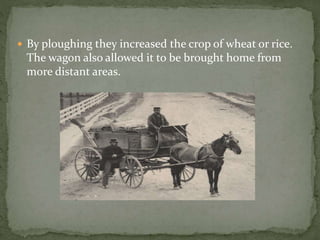  By ploughing they increased the crop of wheat or rice.
The wagon also allowed it to be brought home from
more distant areas.
 