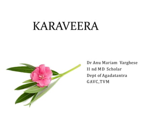 KARAVEERA
Dr Anu Mariam Varghese
II nd MD Scholar
Dept of Agadatantra
GAVC,TVM
 