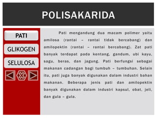 PATI
GLIKOGEN
SELULOSA
Pati mengandung dua macam polimer yaitu
amilosa (rantai – rantai tidak bercabang) dan
amilopektin (rantai – rantai bercabang). Zat pati
banyak terdapat pada kentang, gandum, ubi kayu,
sagu, beras, dan jagung. Pati berfungsi sebagai
makanan cadangan bagi tumbuh – tumbuhan. Selain
itu, pati juga banyak digunakan dalam industri bahan
makanan. Beberapa jenis pati dan amilopektin
banyak digunakan dalam industri kapsul, obat, jeli,
dan gula – gula.
POLISAKARIDA
 