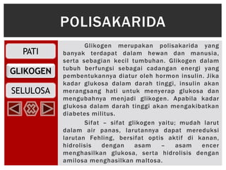 PATI
GLIKOGEN
SELULOSA
Glikogen merupakan polisakarida yang
banyak terdapat dalam hewan dan manusia,
serta sebagian kecil tumbuhan. Glikogen dalam
tubuh berfungsi sebagai cadangan energi yang
pembentukannya diatur oleh hormon insulin. Jika
kadar glukosa dalam darah tinggi, insulin akan
merangsang hati untuk menyerap glukosa dan
mengubahnya menjadi glikogen. Apabila kadar
glukosa dalam darah tinggi akan mengakibatkan
diabetes militus.
Sifat – sifat glikogen yaitu; mudah larut
dalam air panas, larutannya dapat mereduksi
larutan Fehling, bersifat optis aktif di kanan,
hidrolisis dengan asam – asam encer
menghasilkan glukosa, serta hidrolisis dengan
amilosa menghasilkan maltosa.
POLISAKARIDA
 