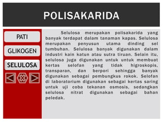 PATI
GLIKOGEN
SELULOSA
Selulosa merupakan polisakarida yang
banyak terdapat dalam tanaman kapas. Selulosa
merupakan penyusun utama dinding sel
tumbuhan. Selulosa banyak digunakan dalam
industri kain katun atau sutra tiruan. Selain itu,
selulosa juga digunakan untuk untuk membuat
kertas selofan yang tidak higroskopis,
transparan, dan berpori sehingga banyak
digunakan sebagai pembungkus rokok. Selofan
di laboratorium digunakan sebagai kertas saring
untuk uji coba tekanan osmosis, sedangkan
selulosa nitrat digunakan sebagai bahan
peledak.
POLISAKARIDA
 
