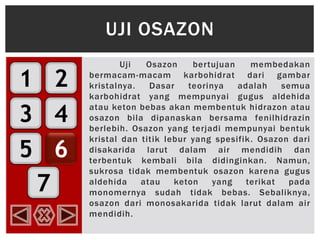 1
3
5
2
4
6
7
Uji Osazon bertujuan membedakan
bermacam-macam karbohidrat dari gambar
kristalnya. Dasar teorinya adalah semua
karbohidrat yang mempunyai gugus aldehida
atau keton bebas akan membentuk hidrazon atau
osazon bila dipanaskan bersama fenilhidrazin
berlebih. Osazon yang terjadi mempunyai bentuk
kristal dan titik lebur yang spesifik. Osazon dari
disakarida larut dalam air mendidih dan
terbentuk kembali bila didinginkan. Namun,
sukrosa tidak membentuk osazon karena gugus
aldehida atau keton yang terikat pada
monomernya sudah tidak bebas. Sebaliknya,
osazon dari monosakarida tidak larut dalam air
mendidih.
UJI OSAZON
 