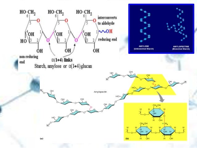 BIOKIMIA I KARBOHIDRAT UHO