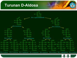 H
CHO
OH
H OH
CH2OH
H OH
HO
CHO
H
H OH
CH2OH
H OH
H
CHO
OH
HO H
CH2OH
H OH
HO
CHO
H
HO H
CH2OH
H OH
H
C
OH
CH2OH
H OH
HO
C
H
CH2OH
H OH
H
CHO
OH
H OH
H OH
H OH
CH2OH
HO
CHO
H
H OH
H OH
H OH
CH2OH
H
CHO
OH
HO H
H OH
H OH
CH2OH
HO
CHO
H
HO H
H OH
H OH
CH2OH
H
CHO
OH
H OH
HO H
H OH
CH2OH
HO
CHO
H
H OH
HO
H OH
CH2OH
H
CHO
OH
HO H
HO H
H OH
CH2OH
HO
CHO
H
HO H
HO H
H OH
CH2OH
H
C
OH
CH2OH
O
H
O
H
O
OH
D-(-)-eritrosa
D-(-)-tetrosa
D-(+)-gliseraldehida
D-(-)-ribosa D-(-)-arabinosa D-(+)-xilosa D-(-)-liksosa
D-(+)-alosa D-(+)-altrosa D-(+)-glukosa D-+)-manosa D-(-)-gulosa D-(-)-idosa D-(+)-galaktosa D-(-)-talosa
Turunan D-Aldosa
 