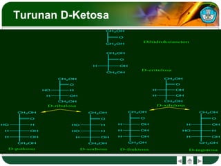 Turunan D-Ketosa
CH2OH
O
CH2OH
H OH
CH2OH
O
HO H
CH2OH
H OH
CH2OH
O
HO H
H OH
H OH
CH2OH
CH2OH
O
HO H
HO H
H OH
CH2OH
CH2OH
O
H OH
H OH
H OH
CH2OH
CH2OH
O
H OH
HO H
H OH
CH2OH
CH2OH
O
CH2OH
CH2OH
O
H OH
CH2OH
H OH
Dihidroksiaseton
D-eritulosa
D-ribulosa D-xilulosa
D-psikosa D-sorbosa D-fruktosa D-tagatosa
 