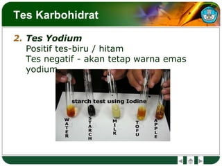 Tes Karbohidrat
2. Tes Yodium
Positif tes-biru / hitam
Tes negatif - akan tetap warna emas
yodium
 