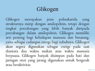 Glikogen
Glikogen merupakan jenis polisakarida yang
strukturnya mirip dengan amilopektin, tetapi dengan
tingkat percabangan yang lebih banyak daripada
percabangan dalam amilopektin. Glikogen memiliki
arti penting bagi kehidupan manusia dan binatang,
yaitu sebagai cadangan energi bagi tubuhnya. Glikogen
akan segera digunakan sebagai energi pada saat
diantara dua waktu makan atau waktu manusia
berpuasa. Glikogen banyak disimpan pada hati dan
jaringan otot yang jarang digunakan untuk bergerak
atau beraktivitas

 