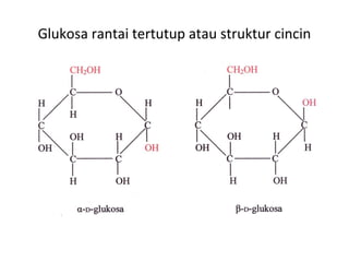 Glukosa rantai tertutup atau struktur cincin
 