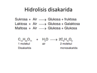 Hidrolisis disakarida
 