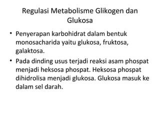 Regulasi Metabolisme Glikogen dan
Glukosa
• Penyerapan karbohidrat dalam bentuk
monosacharida yaitu glukosa, fruktosa,
galaktosa.
• Pada dinding usus terjadi reaksi asam phospat
menjadi heksosa phospat. Heksosa phospat
dihidrolisa menjadi glukosa. Glukosa masuk ke
dalam sel darah.
 